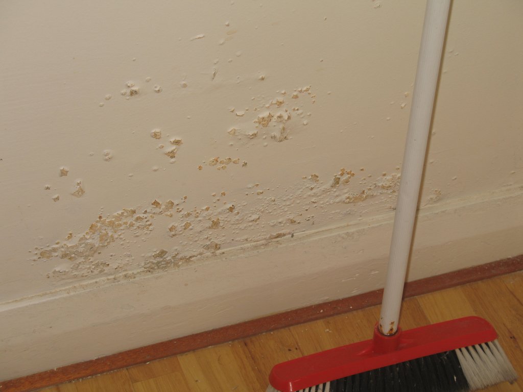 Image of cream wall with peeling paint indicating damp