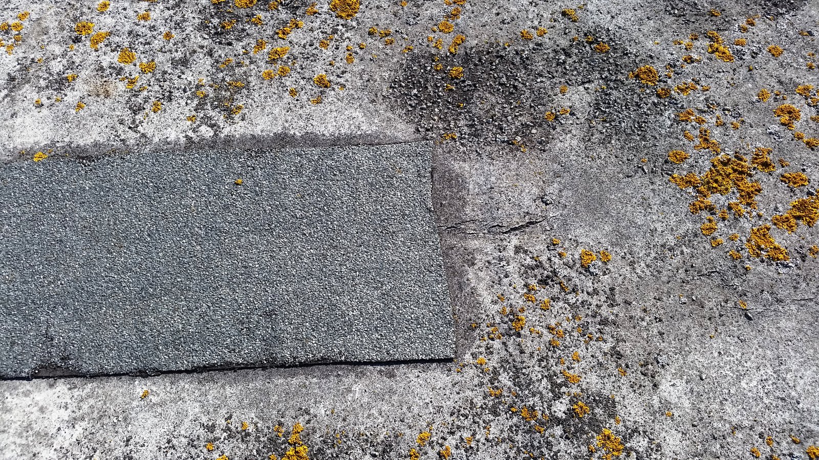 Felt repair to Asphalt roof